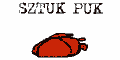 Magazyn Sztuki Sztukpuk